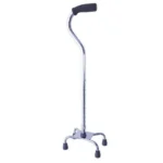 walking stick